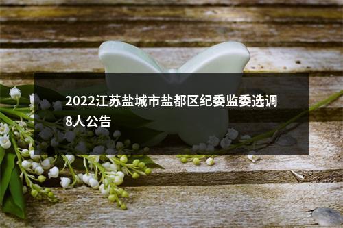 2022江苏盐城市盐都区纪委监委选调8人公告                进入阅读模式 图片