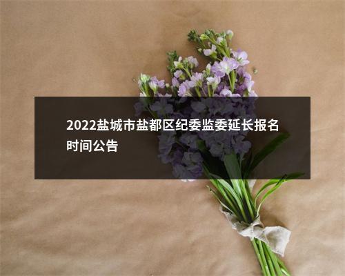 2022盐城市盐都区纪委监委延长报名时间公告                进入阅读模式 图片