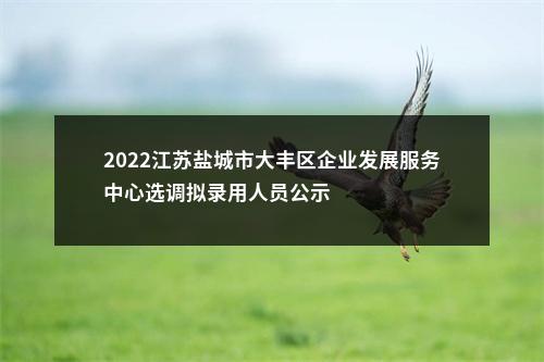 2022江苏盐城市大丰区企业发展服务中心选调拟录用人员公示                进入阅读模式 图片