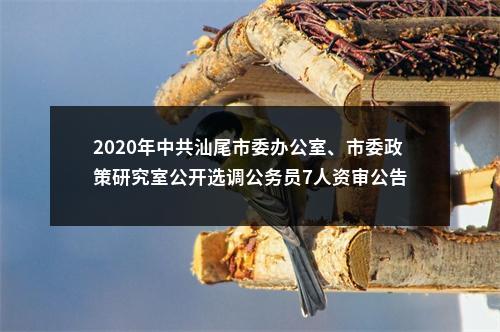 2020年中共汕尾市委办公室、市委政策研究室公开选调公务员7人资审公告 图片