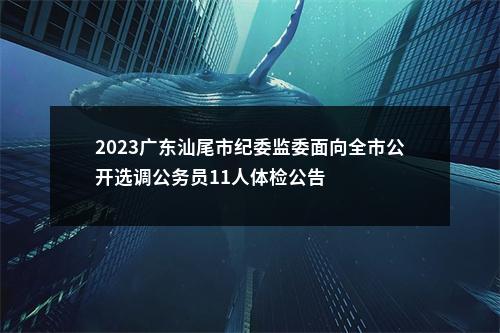 2023广东汕尾市纪委监委面向全市公开选调公务员11人体检公告 图片