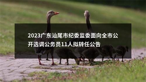 2023广东汕尾市纪委监委面向全市公开选调公务员11人拟转任公告 图片