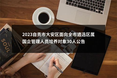 2023自贡市大安区面向全市遴选区属国企管理人员培养对象30人公告 图片