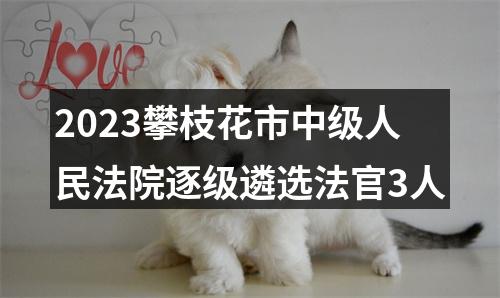2023攀枝花市中级人民法院逐级遴选法官3人 图片