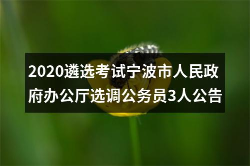 2020遴选考试宁波市人民政府办公厅选调公务员3人公告 图片