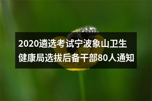 2020遴选考试宁波象山卫生健康局选拔后备干部80人通知 图片