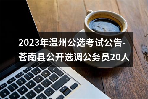 2023年温州公选考试公告-苍南县公开选调公务员20人 图片