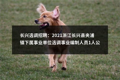 长兴选调招聘：2021浙江长兴县夹浦镇下属事业单位选调事业编制人员1人公告 图片