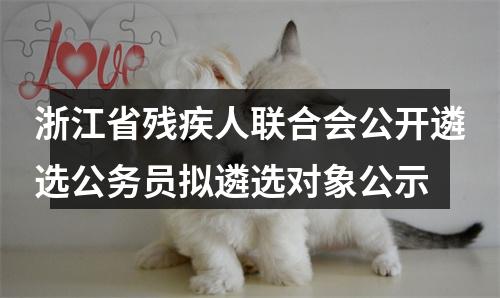浙江省残疾人联合会公开遴选公务员拟遴选对象公示 图片