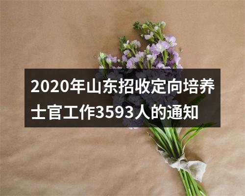 2020年山东招收定向培养士官工作3593人的通知 图片