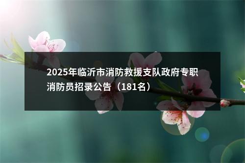 2025年临沂市消防救援支队政府专职消防员招录公告（181名） 图片