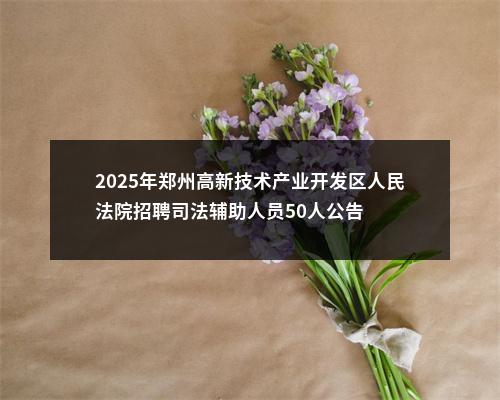 2025年郑州高新技术产业开发区人民法院招聘司法辅助人员50人公告 图片