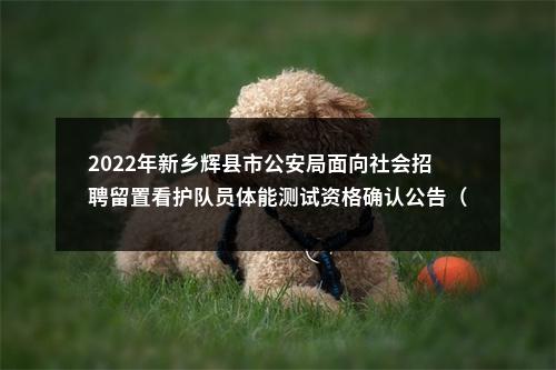 2022年新乡辉县市公安局面向社会招聘留置看护队员体能测试资格确认公告（二） 图片