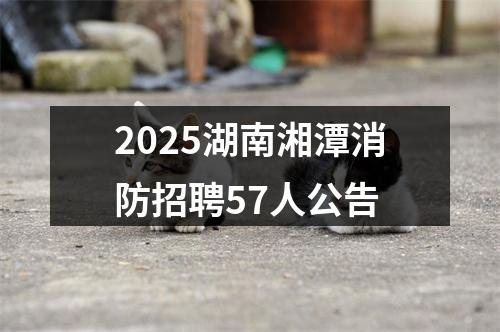 2025湖南湘潭消防招聘57人公告 图片