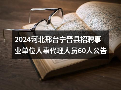 2024河北邢台宁晋县招聘事业单位人事代理人员60人公告 图片