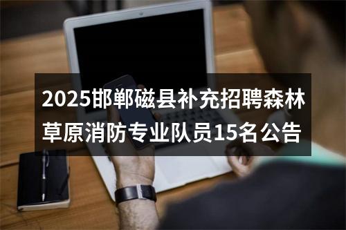 2025邯郸磁县补充招聘森林草原消防专业队员15名公告 图片