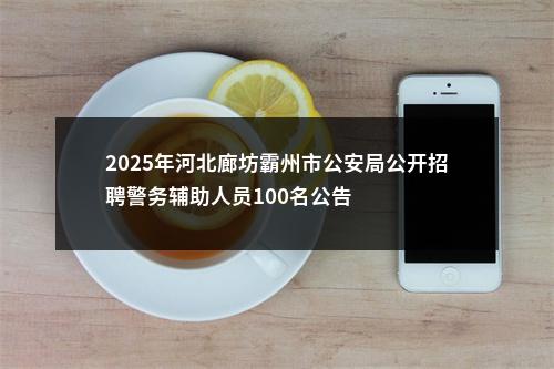 2025年河北廊坊霸州市公安局公开招聘警务辅助人员100名公告 图片