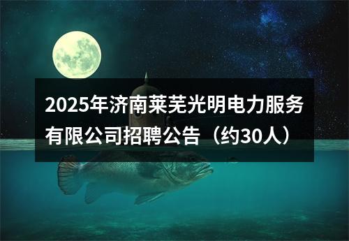 2025年济南莱芜光明电力服务有限公司招聘公告（约30人） 图片