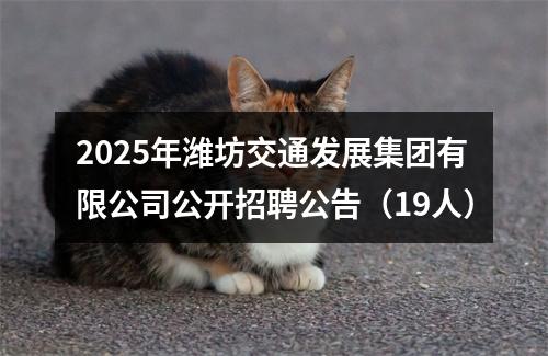 2025年潍坊交通发展集团有限公司公开招聘公告（19人） 图片