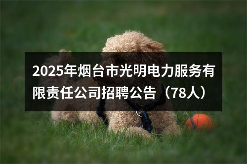 2025年烟台市光明电力服务有限责任公司招聘公告（78人） 图片