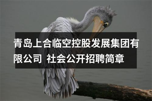 青岛上合临空控股发展集团有限公司  社会公开招聘简章 图片