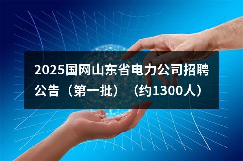 2025国网山东省电力公司招聘公告（第一批）（约1300人） 图片