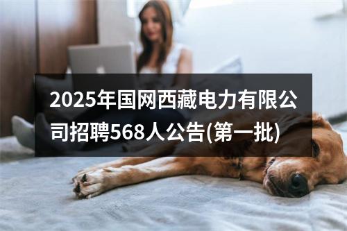 2025年国网西藏电力有限公司招聘568人公告(第一批) 图片
