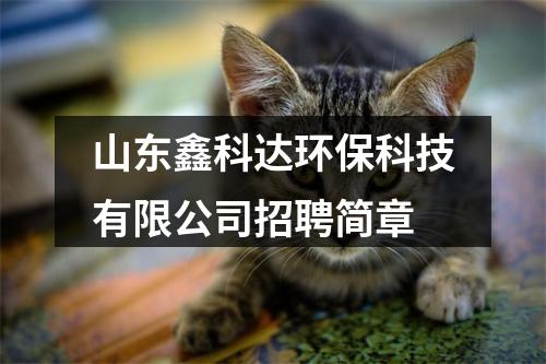 山东鑫科达环保科技有限公司招聘简章 图片
