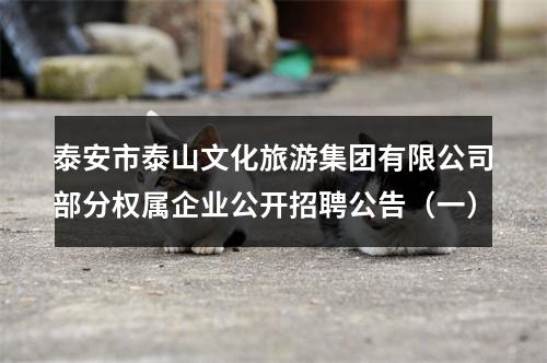 泰安市泰山文化旅游集团有限公司部分权属企业公开招聘公告（一） 图片