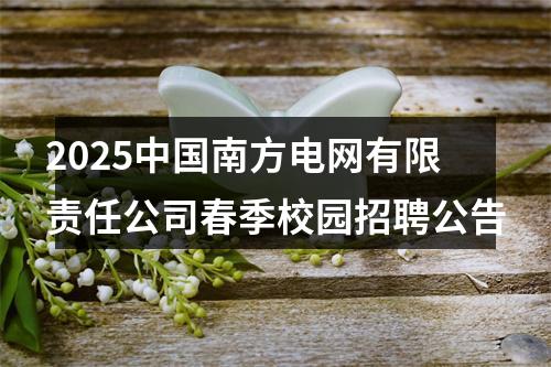 2025中国南方电网有限责任公司春季校园招聘公告 图片