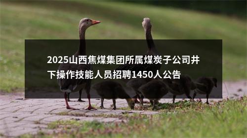 2025山西焦煤集团所属煤炭子公司井下操作技能人员招聘1450人公告 图片