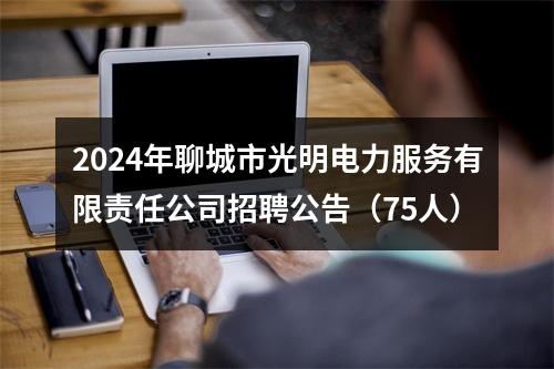 2024年聊城市光明电力服务有限责任公司招聘公告（75人） 图片