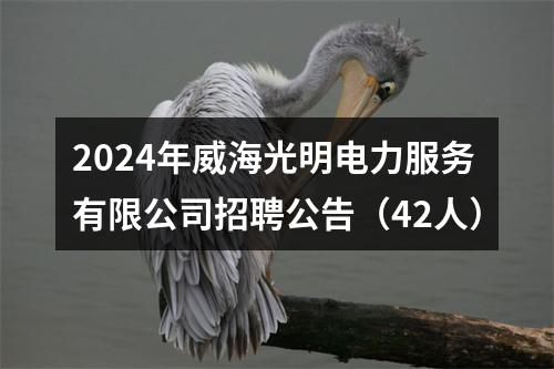 2024年威海光明电力服务有限公司招聘公告（42人） 图片
