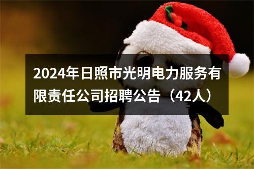 2024年日照市光明电力服务有限责任公司招聘公告（42人） 图片