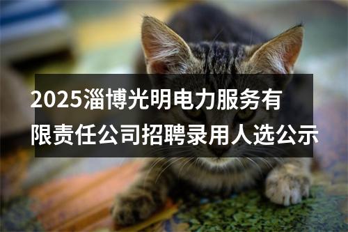 2025淄博光明电力服务有限责任公司招聘录用人选公示 图片