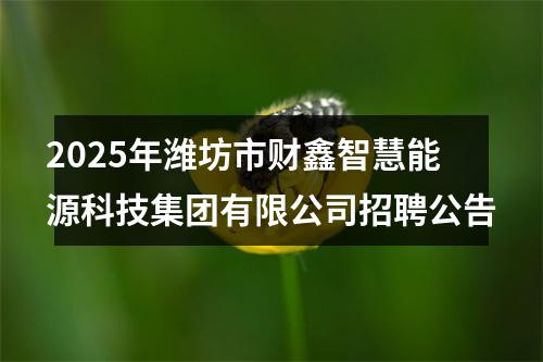 2025年潍坊市财鑫智慧能源科技集团有限公司招聘公告 图片