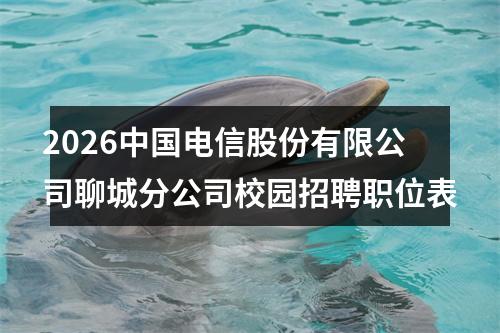 2026中国电信股份有限公司聊城分公司校园招聘职位表 图片