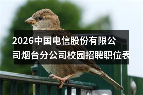 2026中国电信股份有限公司烟台分公司校园招聘职位表 图片