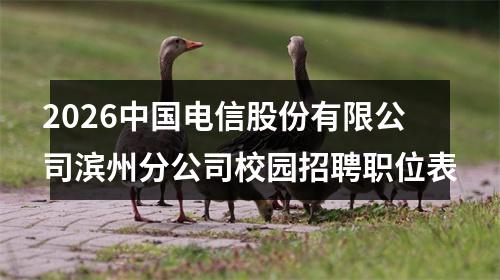 2026中国电信股份有限公司滨州分公司校园招聘职位表 图片