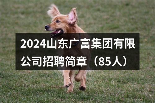 2024山东广富集团有限公司招聘简章（85人） 图片