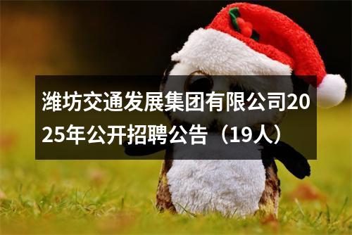 潍坊交通发展集团有限公司2025年公开招聘公告（19人） 图片