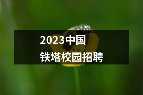2023中国铁塔校园招聘 图片