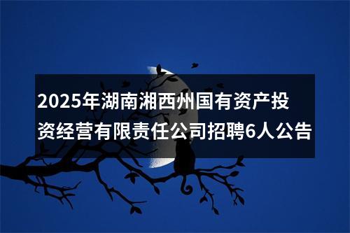 2025年湖南湘西州国有资产投资经营有限责任公司招聘6人公告 图片