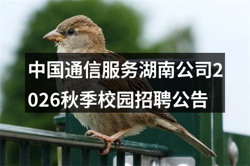 中国通信服务湖南公司2026秋季校园招聘公告 图片