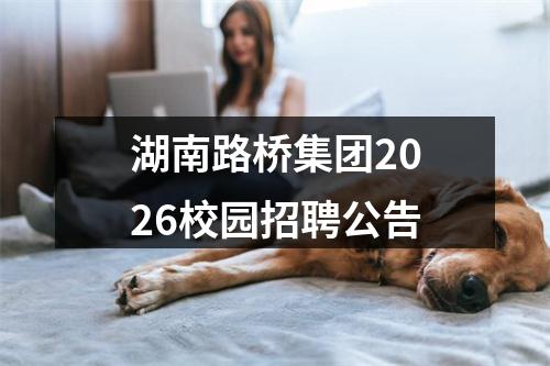 湖南路桥集团2026校园招聘公告 图片
