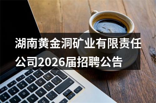 湖南黄金洞矿业有限责任公司2026届招聘公告 图片