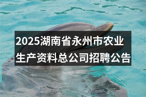 2025湖南省永州市农业生产资料总公司招聘公告 图片