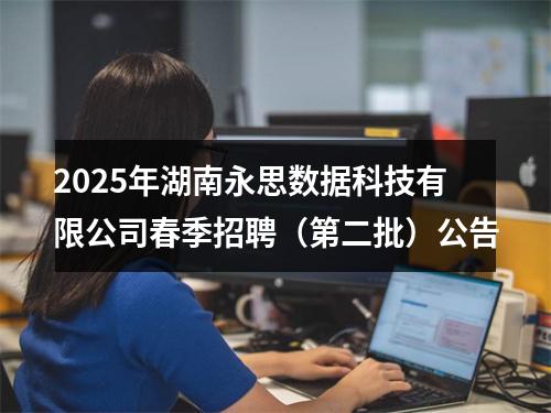 2025年湖南永思数据科技有限公司春季招聘（第二批）公告 图片