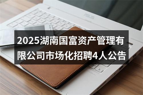 2025湖南国富资产管理有限公司市场化招聘4人公告 图片