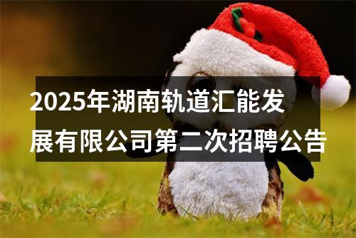 2025年湖南轨道汇能发展有限公司第二次招聘公告 图片